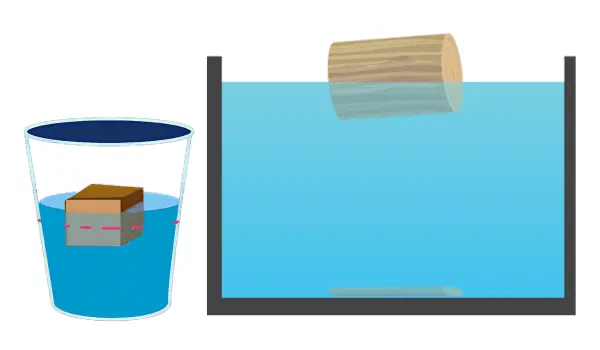 wood floating in water